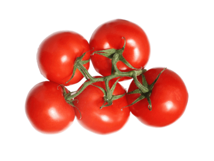 Organic Tomatoes