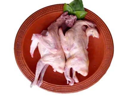 কবুতরের মাংস (Pigeon Meat )