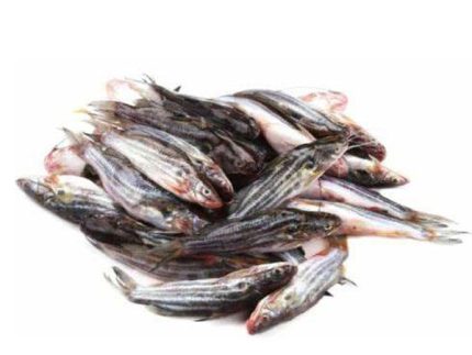 বড় ট্যাংড়া