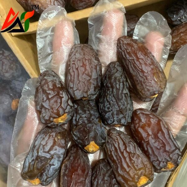 ইরানী মরিয়াম  (Irani Mariam)