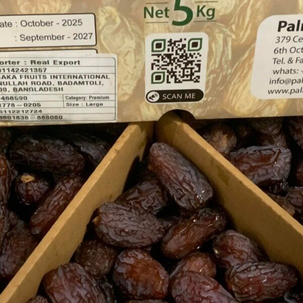 মিশরি মেডজুল খেজুর (Medjool Dates)