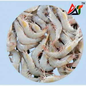 তাজা হড়ীণা চিংড়ি – প্রাকৃতিকভাবে ধরা ছোট সাইজের কাঁচা চিংড়ি, রান্নার জন্য প্রস্তুত