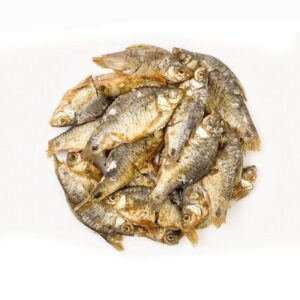 শুঁটকি