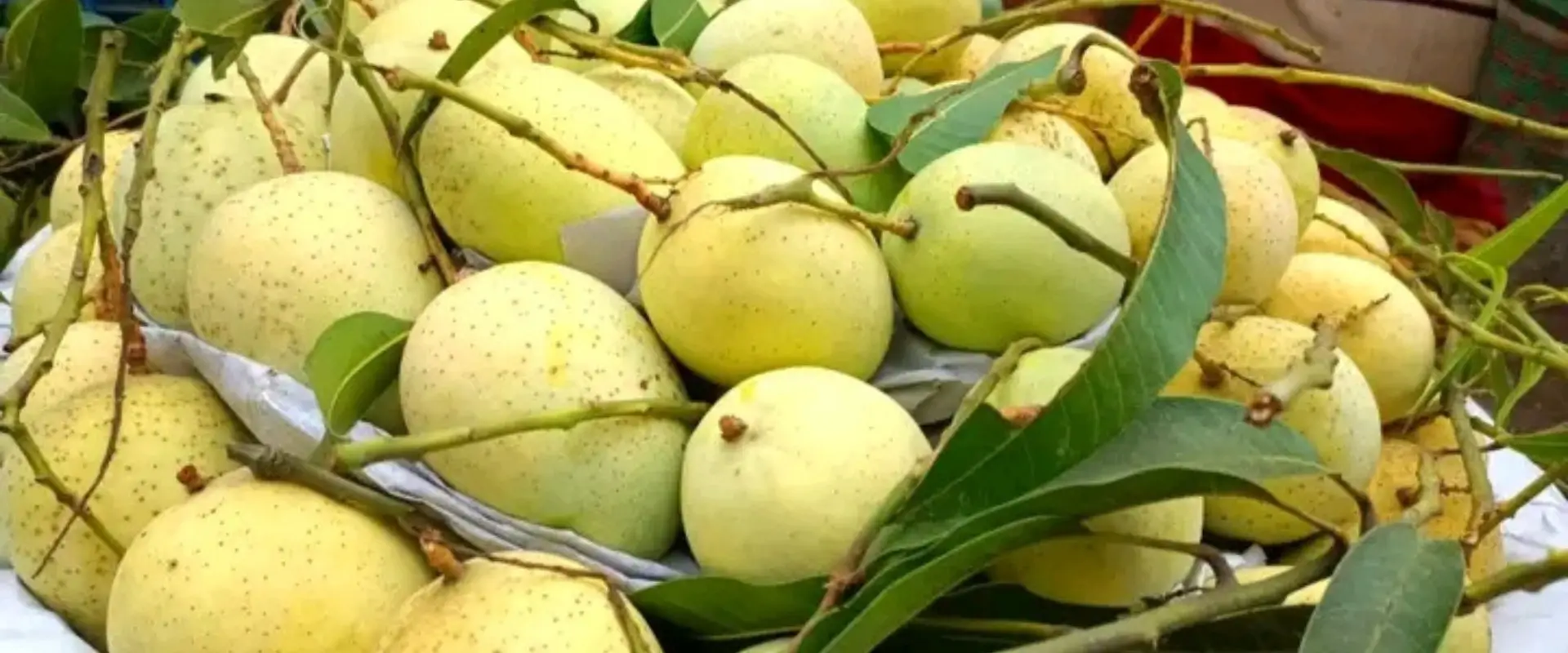 Fresh Bangladeshi mango sliding banner