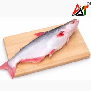 নদীর পাঙ্গাশ মাছ (River Pangas Fish)