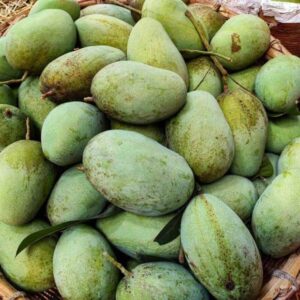 তাজা আশ্বিনা আম
