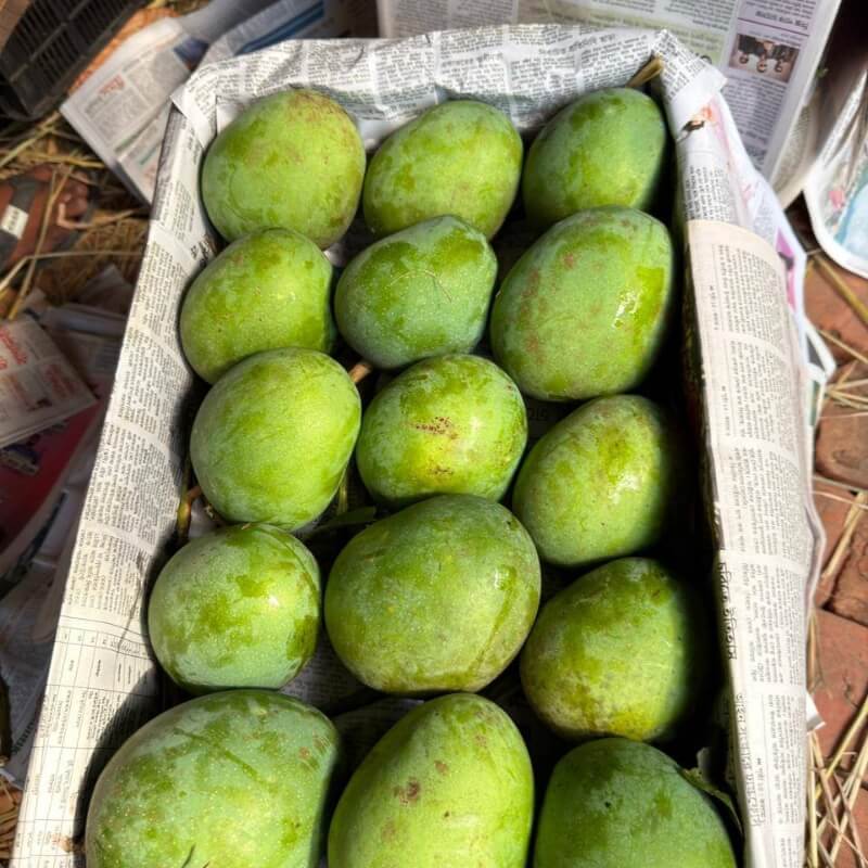 হাড়িভাঙা আম 2 তাজা হাড়িভাঙা আম