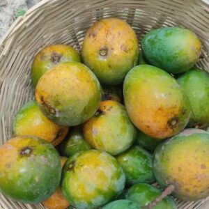 তাজা হিমসাগর আম