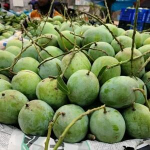 তাজা ল্যাংড়া আম