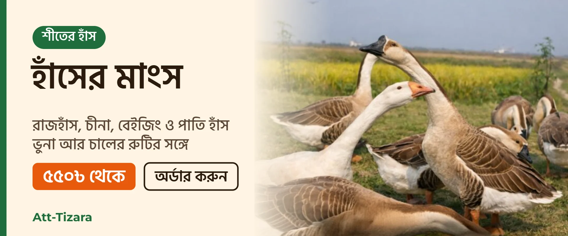 শীতের হাঁসের মাংস – রাজহাঁস, চীনা, বেইজিং ও পাতি হাঁস, ৫৫০৳ থেকে | Att-Tizara