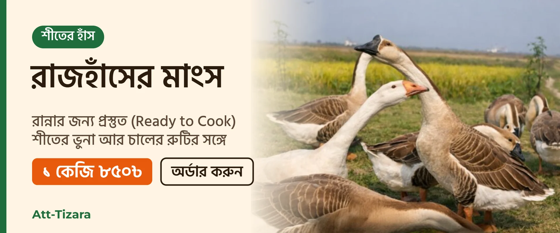 রাজহাঁসের মাংস (Ready to Cook) – ১ কেজি ৮৫০৳ | Att-Tizara